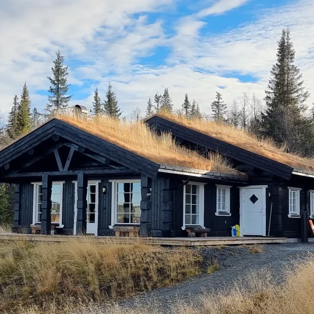 TK-Anebu-Holiday-Cabins-23